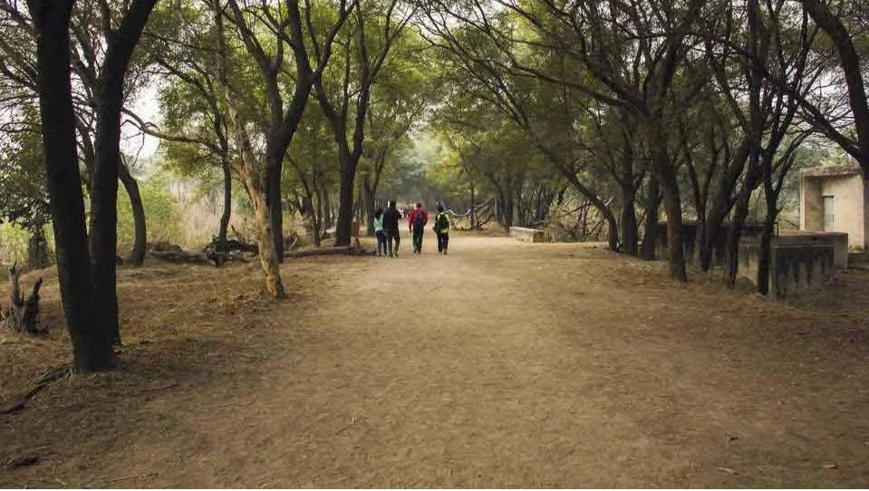 Sultanpur National Park